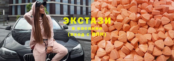 ECSTASY Бородино