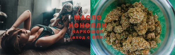 ECSTASY Бородино